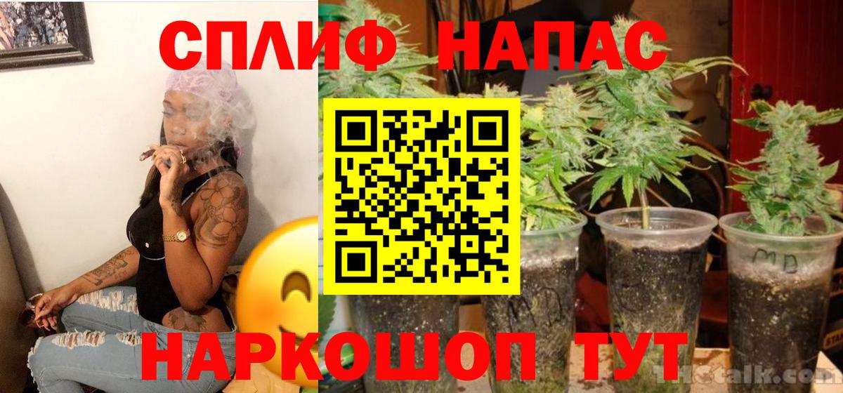 Бошки марихуана конопля Котельники